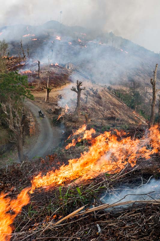 Slashed and dried forest vegetation set on fire for creating agricultural fields under shifting cultivation (jhum) in Mokokchung district, Nagaland